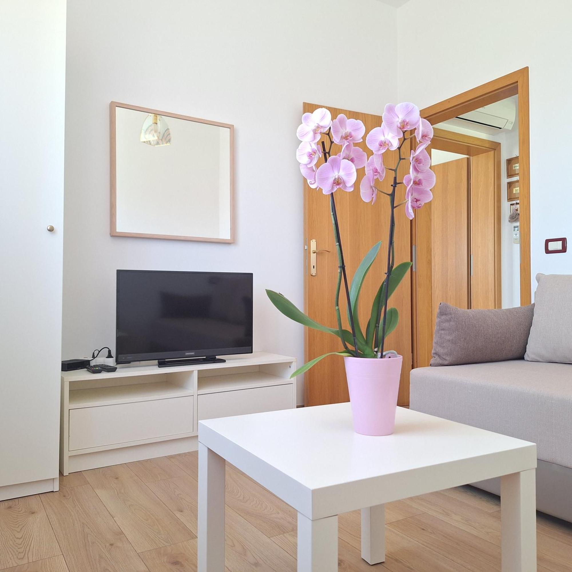 Apartment Mita Grožnjan Kültér fotó